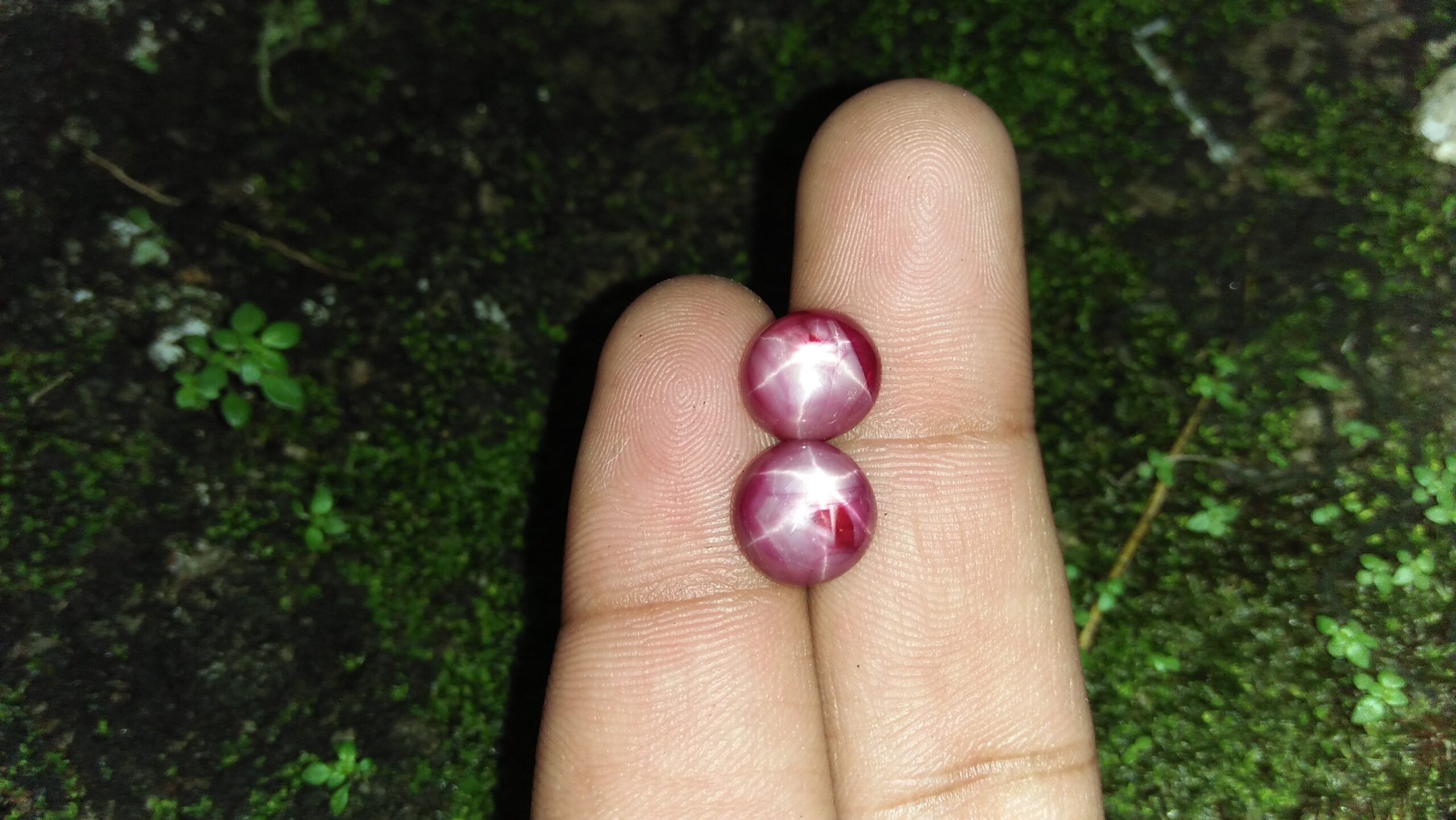 Natural Star Ruby - Couple Colour : Purplish Red Shape : oval Cut : Round Cabochon Weight : 4.62Cts/ 4.69Cts Dimension : 9.3 x 9.2 x 4.6 mm 9.4 x 8.6 x 4.9 mm Treatment : Unheated • CSL - Colored Stone Laboratory Certified ( GIA Alumina Association Member ) • CSL Memo No : F1AC4D56D6B4 95CA1E6F75AB 星光紅寶石 重量 : 4.62卡拉 / 4.69 卡拉 尺寸 : 9.3 x 9.2 x 4.6 mm 9.4 x 8.6 x 4.9 mm 颜色 : 紫紅色 透明 : 好透明 形状 : 椭圆形 治療 : 没有加熱