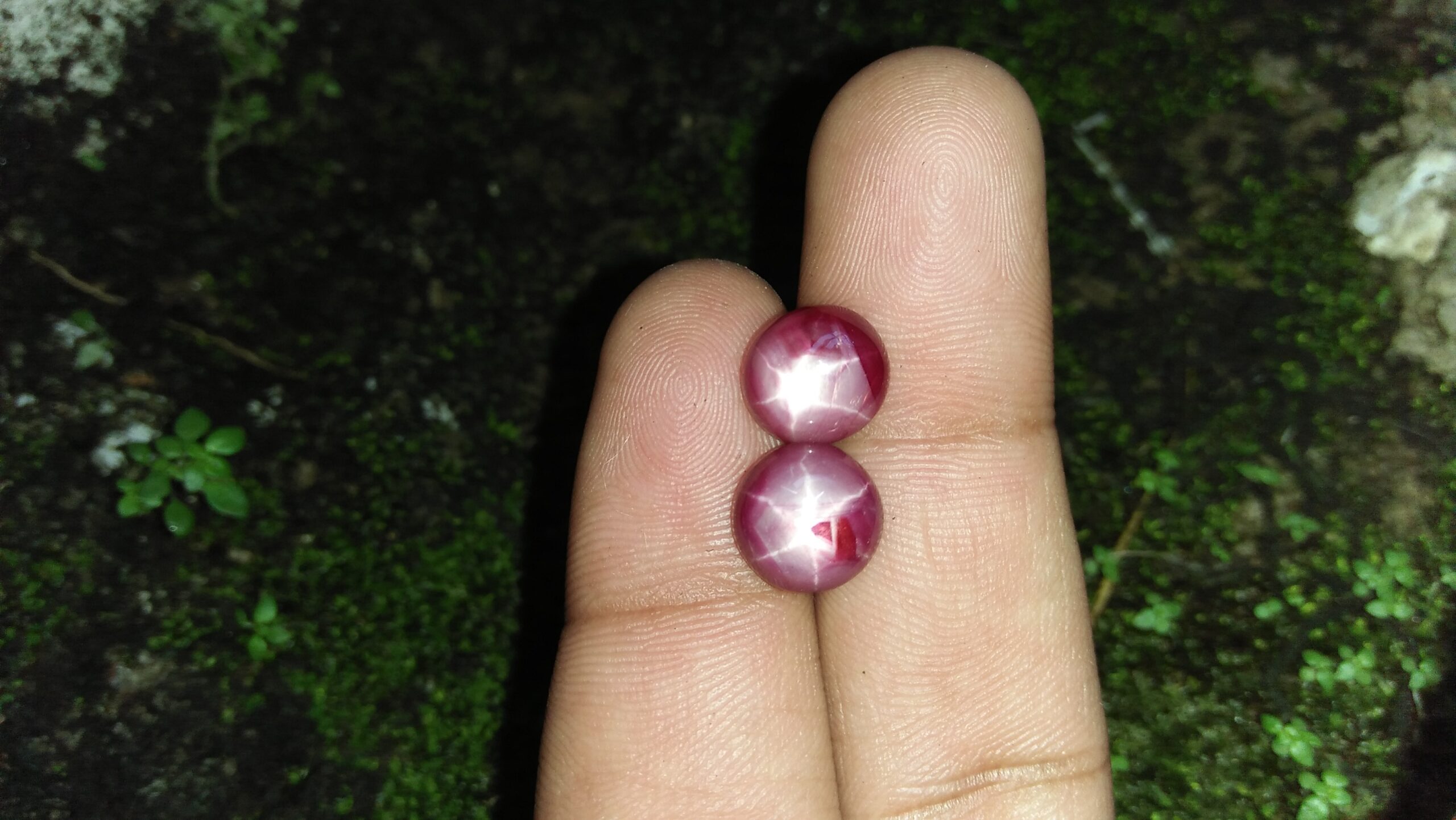 Natural Star Ruby - Couple Colour : Purplish Red Shape : oval Cut : Round Cabochon Weight : 4.62Cts/ 4.69Cts Dimension : 9.3 x 9.2 x 4.6 mm 9.4 x 8.6 x 4.9 mm Treatment : Unheated • CSL - Colored Stone Laboratory Certified ( GIA Alumina Association Member ) • CSL Memo No : F1AC4D56D6B4 95CA1E6F75AB 星光紅寶石 重量 : 4.62卡拉 / 4.69 卡拉 尺寸 : 9.3 x 9.2 x 4.6 mm 9.4 x 8.6 x 4.9 mm 颜色 : 紫紅色 透明 : 好透明 形状 : 椭圆形 治療 : 没有加熱