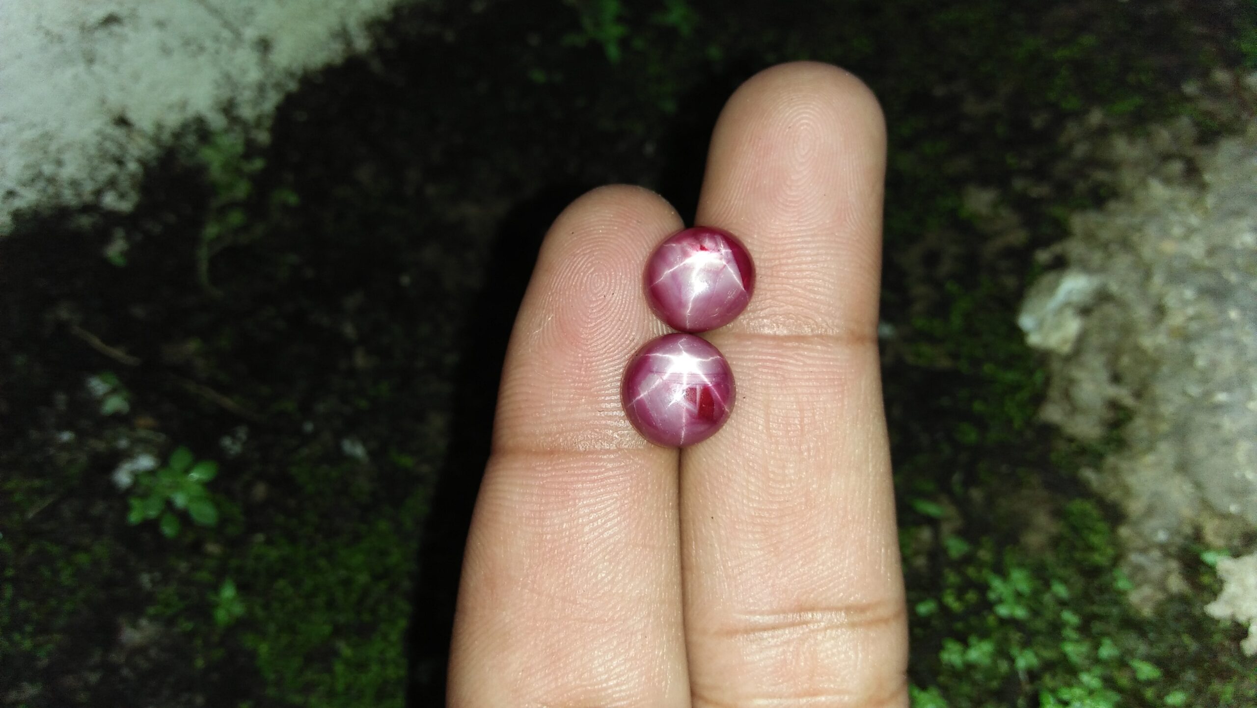 Natural Star Ruby - Couple Colour : Purplish Red Shape : oval Cut : Round Cabochon Weight : 4.62Cts/ 4.69Cts Dimension : 9.3 x 9.2 x 4.6 mm 9.4 x 8.6 x 4.9 mm Treatment : Unheated • CSL - Colored Stone Laboratory Certified ( GIA Alumina Association Member ) • CSL Memo No : F1AC4D56D6B4 95CA1E6F75AB 星光紅寶石 重量 : 4.62卡拉 / 4.69 卡拉 尺寸 : 9.3 x 9.2 x 4.6 mm 9.4 x 8.6 x 4.9 mm 颜色 : 紫紅色 透明 : 好透明 形状 : 椭圆形 治療 : 没有加熱
