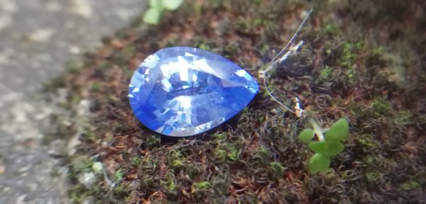 NATURAL BLUE SAPPHIRE "Cornflower Blue" Colour : Blue "Cornflower Blue" Shape : Pear Weight : 2.58 ct Dimension : 10.2 x 7.1 x 4.6 mm Treatment : Heated Clarity : SI • CSL - Colored Stone Laboratory Certified ( GIA Alumina Association Member ) • CSL Memo No : A51F60F79898 蓝宝石 ( 矢車菊 ) 重量 : 2.58 卡拉 尺寸 : 10.2 x 7.1 x 4.6 mm 颜色 : 蓝色 (矢車菊 ) 透明 : 好透明 形状 : 梨形 治療:加热 清晰度 : SI