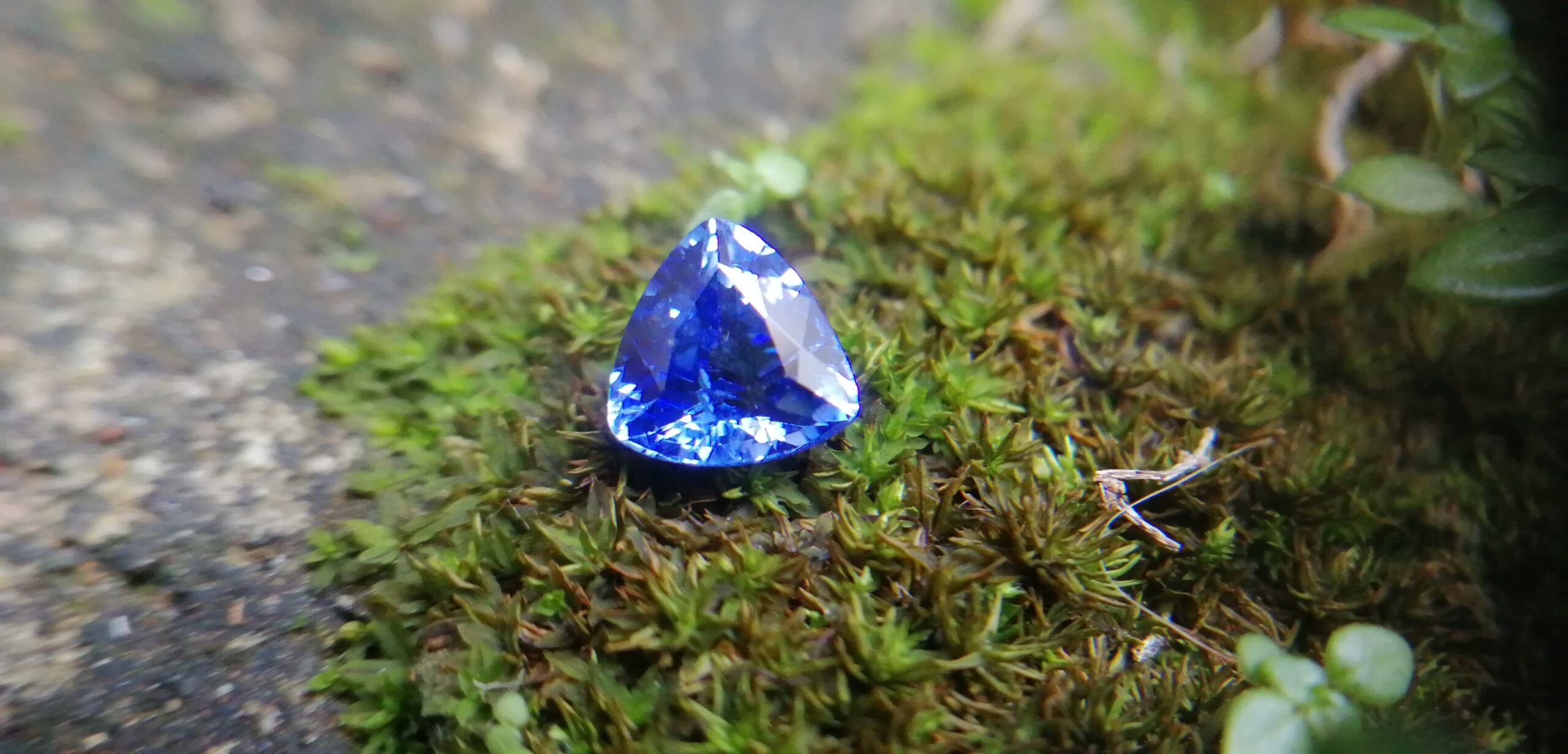 NATURAL BLUE SAPPHIRE "Cornflower Blue" Colour : Blue "Cornflower Blue" Shape : Trilian Treatment : Heated Clarity : SI • CSL - Colored Stone Laboratory Certified ( GIA Alumina Association Member ) We hide certificates of sold out product Sapphire is a precious gemstone, a variety of the mineral corundum, consisting of aluminum oxide with trace amounts of elements such as iron, titanium, chromium, copper, or magnesium. Sapphire deposits are found in Eastern Australia, Thailand, Sri Lanka, China, Vietnam, Madagascar, Greenland, East Africa, and in North America in mostly in Montana. Madagascar, Sri Lanka, and Kashmir produce large quantities of fine quality Sapphires for the world market. Sapphires are mined from alluvial deposits or from primary underground workings. Blue Sapphire and Ruby are the most popular Gemstone in Corundum Family. also, Orangy Pink Sapphire is called Padparadscha. The name Drive's from the Sinhalese word "padmaraga" " පද්මරාග", meaning lotus blossom, as the stone is of a similar color to the lotus blossom. Bi-Color Sapphire from DanuGroup Collection Also, Sapphire can be found as parti-color, bi-color or fancy color. Australia is a main parti-color Sapphire producer. White Sapphire also, White sapphire is a very popular stone to wear instead of Diamond as a 3rd hardness gemstone after diamond ( moissanite hardness is 9.5). Various colors of star sapphires A star sapphire is a type of sapphire that exhibits a star-like phenomenon known as asterism. Also, A rare variety of natural sapphire, known as color-change sapphire, exhibits different colors in a different light. Sapphires can be treated by several methods to enhance and improve their clarity and color. A common method is done by heating the sapphires in furnaces to temperatures between 500 and 1,850 °C for several hours, or by heating in a nitrogen-deficient atmosphere oven for 1 week or more. Geuda is a form of the mineral corundum. Geuda is found primarily in Sri Lanka. It's a semitransparent and milky appearance due to rutile inclusions. Geuda is used to improve its color by heat treatment. Some geuda varieties turn to a blue color after heat treatments and some turn to red after oxidizing. Also, Kowangu pushparaga turns to yellow sapphire after oxidizing. Sapphire Crystal system is a Trigonal crystal system with a hexagonal scalenohedral crystal class. Sapphire hardness is 9 according to the Mohs hardness scale with 4.0~4.1 specific gravity. Refractive index ω =1.768–1.772 nε =1.760–1.763 Solubility = Insoluble Melting point = 2,030–2,050 °C Birefringence = 0.008 Pleochroism = Strong Luster = Vitreous Sapphire is the birthstone for September and the gem of the 45th anniversary. Healing Properties of Sapphire Sapphire releases mental tension, depression, unwanted thoughts, and spiritual confusion. Sapphire is known as a "stone of Wisdom". It is exceptional for calming and focusing the mind, allowing the release of mental tension and unwanted thoughts. Sapphire is also the best stone for awakening chakras. Dark Blue or Indigo Sapphire stimulates the Third Eye chakra. Blue Sapphire stimulates the Throat Chakra. Green sapphire stimulates Heart Chakra. Black Sapphire stimulates Base Chakra. White sapphire stimulates Crown Chakra. Yellow sapphire stimulates Solar Plexus Chakra. Blue Sapphire stimulates the Throat Chakra and Third eye chakra, the voice of the body. Blue crystal energy will unblock and balance the Throat Chakra. blue encourages the power of truth, while lighter shades carry the power of flexibility, relaxation, and balance. Blue Sapphire can free one of mental anxiety, helps make one detached, and protects against envy. Also, It can be worn for good luck and for protection against evil spirits. Since Saturn rules the nervous system, blue sapphires help problems of the nerves-tension and neuroses-diseases caused by an afflicted Saturn.
