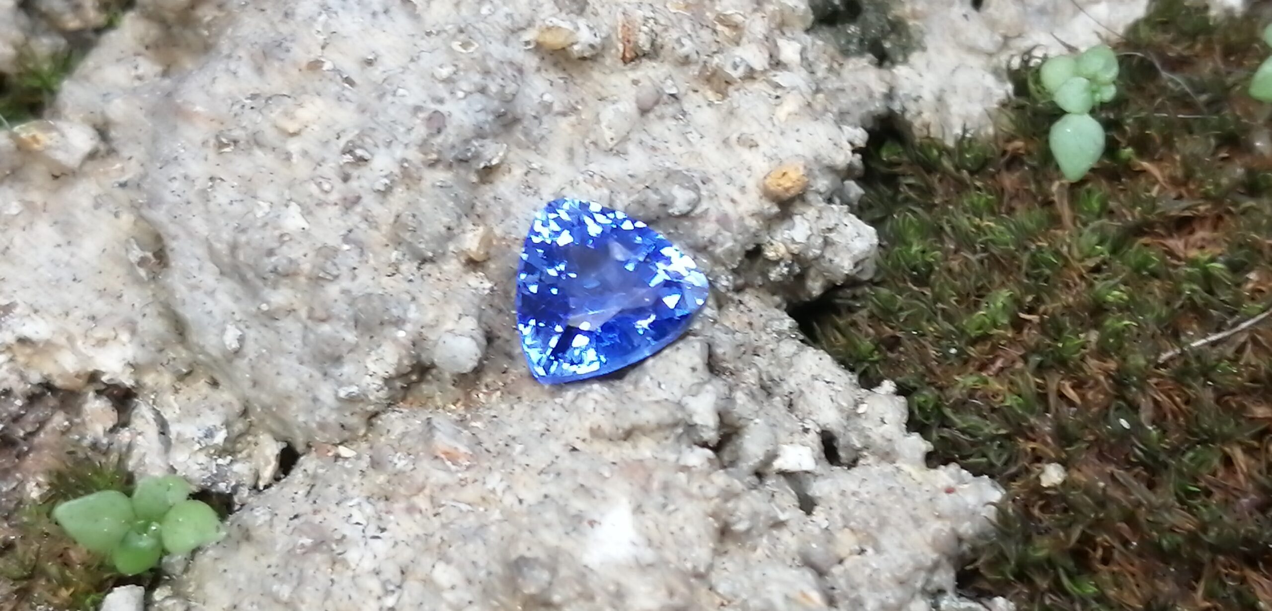 NATURAL BLUE SAPPHIRE "Cornflower Blue" Colour : Blue "Cornflower Blue" Shape : Trilian Treatment : Heated Clarity : SI • CSL - Colored Stone Laboratory Certified ( GIA Alumina Association Member ) We hide certificates of sold out product Sapphire is a precious gemstone, a variety of the mineral corundum, consisting of aluminum oxide with trace amounts of elements such as iron, titanium, chromium, copper, or magnesium. Sapphire deposits are found in Eastern Australia, Thailand, Sri Lanka, China, Vietnam, Madagascar, Greenland, East Africa, and in North America in mostly in Montana. Madagascar, Sri Lanka, and Kashmir produce large quantities of fine quality Sapphires for the world market. Sapphires are mined from alluvial deposits or from primary underground workings. Blue Sapphire and Ruby are the most popular Gemstone in Corundum Family. also, Orangy Pink Sapphire is called Padparadscha. The name Drive's from the Sinhalese word "padmaraga" " පද්මරාග", meaning lotus blossom, as the stone is of a similar color to the lotus blossom. Bi-Color Sapphire from DanuGroup Collection Also, Sapphire can be found as parti-color, bi-color or fancy color. Australia is a main parti-color Sapphire producer. White Sapphire also, White sapphire is a very popular stone to wear instead of Diamond as a 3rd hardness gemstone after diamond ( moissanite hardness is 9.5). Various colors of star sapphires A star sapphire is a type of sapphire that exhibits a star-like phenomenon known as asterism. Also, A rare variety of natural sapphire, known as color-change sapphire, exhibits different colors in a different light. Sapphires can be treated by several methods to enhance and improve their clarity and color. A common method is done by heating the sapphires in furnaces to temperatures between 500 and 1,850 °C for several hours, or by heating in a nitrogen-deficient atmosphere oven for 1 week or more. Geuda is a form of the mineral corundum. Geuda is found primarily in Sri Lanka. It's a semitransparent and milky appearance due to rutile inclusions. Geuda is used to improve its color by heat treatment. Some geuda varieties turn to a blue color after heat treatments and some turn to red after oxidizing. Also, Kowangu pushparaga turns to yellow sapphire after oxidizing. Sapphire Crystal system is a Trigonal crystal system with a hexagonal scalenohedral crystal class. Sapphire hardness is 9 according to the Mohs hardness scale with 4.0~4.1 specific gravity. Refractive index ω =1.768–1.772 nε =1.760–1.763 Solubility = Insoluble Melting point = 2,030–2,050 °C Birefringence = 0.008 Pleochroism = Strong Luster = Vitreous Sapphire is the birthstone for September and the gem of the 45th anniversary. Healing Properties of Sapphire Sapphire releases mental tension, depression, unwanted thoughts, and spiritual confusion. Sapphire is known as a "stone of Wisdom". It is exceptional for calming and focusing the mind, allowing the release of mental tension and unwanted thoughts. Sapphire is also the best stone for awakening chakras. Dark Blue or Indigo Sapphire stimulates the Third Eye chakra. Blue Sapphire stimulates the Throat Chakra. Green sapphire stimulates Heart Chakra. Black Sapphire stimulates Base Chakra. White sapphire stimulates Crown Chakra. Yellow sapphire stimulates Solar Plexus Chakra. Blue Sapphire stimulates the Throat Chakra and Third eye chakra, the voice of the body. Blue crystal energy will unblock and balance the Throat Chakra. blue encourages the power of truth, while lighter shades carry the power of flexibility, relaxation, and balance. Blue Sapphire can free one of mental anxiety, helps make one detached, and protects against envy. Also, It can be worn for good luck and for protection against evil spirits. Since Saturn rules the nervous system, blue sapphires help problems of the nerves-tension and neuroses-diseases caused by an afflicted Saturn.