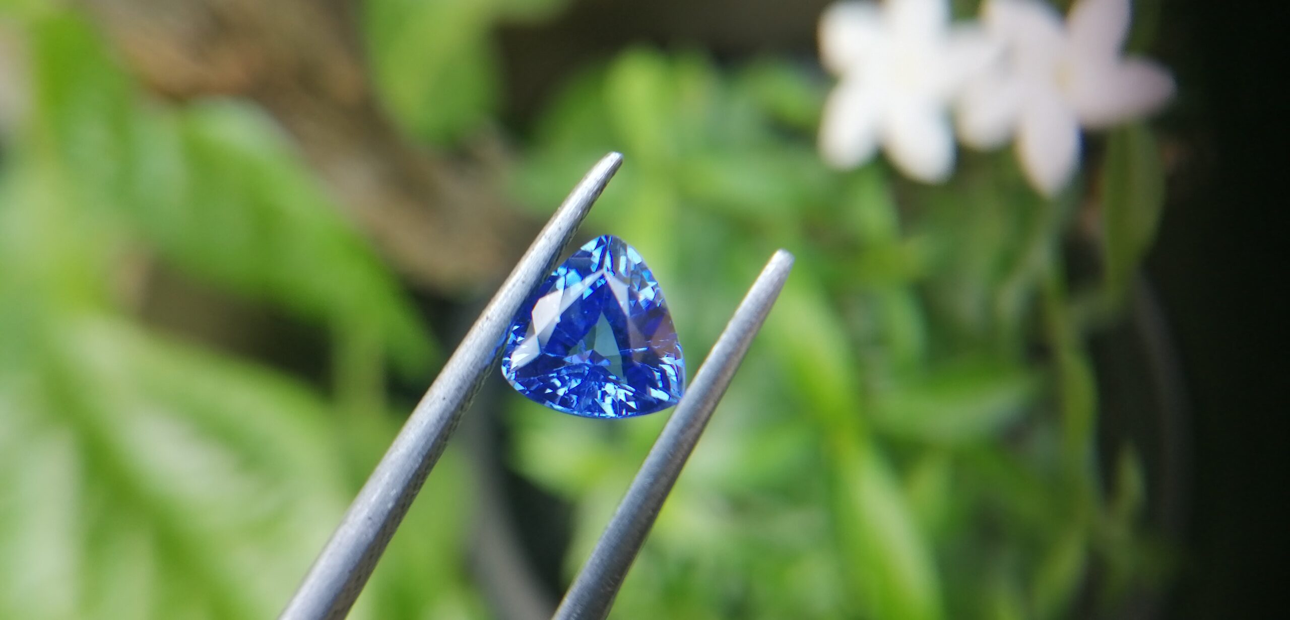 NATURAL BLUE SAPPHIRE "Cornflower Blue" Colour : Blue "Cornflower Blue" Shape : Trilian Treatment : Heated Clarity : SI • CSL - Colored Stone Laboratory Certified ( GIA Alumina Association Member ) We hide certificates of sold out product Sapphire is a precious gemstone, a variety of the mineral corundum, consisting of aluminum oxide with trace amounts of elements such as iron, titanium, chromium, copper, or magnesium. Sapphire deposits are found in Eastern Australia, Thailand, Sri Lanka, China, Vietnam, Madagascar, Greenland, East Africa, and in North America in mostly in Montana. Madagascar, Sri Lanka, and Kashmir produce large quantities of fine quality Sapphires for the world market. Sapphires are mined from alluvial deposits or from primary underground workings. Blue Sapphire and Ruby are the most popular Gemstone in Corundum Family. also, Orangy Pink Sapphire is called Padparadscha. The name Drive's from the Sinhalese word "padmaraga" " පද්මරාග", meaning lotus blossom, as the stone is of a similar color to the lotus blossom. Bi-Color Sapphire from DanuGroup Collection Also, Sapphire can be found as parti-color, bi-color or fancy color. Australia is a main parti-color Sapphire producer. White Sapphire also, White sapphire is a very popular stone to wear instead of Diamond as a 3rd hardness gemstone after diamond ( moissanite hardness is 9.5). Various colors of star sapphires A star sapphire is a type of sapphire that exhibits a star-like phenomenon known as asterism. Also, A rare variety of natural sapphire, known as color-change sapphire, exhibits different colors in a different light. Sapphires can be treated by several methods to enhance and improve their clarity and color. A common method is done by heating the sapphires in furnaces to temperatures between 500 and 1,850 °C for several hours, or by heating in a nitrogen-deficient atmosphere oven for 1 week or more. Geuda is a form of the mineral corundum. Geuda is found primarily in Sri Lanka. It's a semitransparent and milky appearance due to rutile inclusions. Geuda is used to improve its color by heat treatment. Some geuda varieties turn to a blue color after heat treatments and some turn to red after oxidizing. Also, Kowangu pushparaga turns to yellow sapphire after oxidizing. Sapphire Crystal system is a Trigonal crystal system with a hexagonal scalenohedral crystal class. Sapphire hardness is 9 according to the Mohs hardness scale with 4.0~4.1 specific gravity. Refractive index ω =1.768–1.772 nε =1.760–1.763 Solubility = Insoluble Melting point = 2,030–2,050 °C Birefringence = 0.008 Pleochroism = Strong Luster = Vitreous Sapphire is the birthstone for September and the gem of the 45th anniversary. Healing Properties of Sapphire Sapphire releases mental tension, depression, unwanted thoughts, and spiritual confusion. Sapphire is known as a "stone of Wisdom". It is exceptional for calming and focusing the mind, allowing the release of mental tension and unwanted thoughts. Sapphire is also the best stone for awakening chakras. Dark Blue or Indigo Sapphire stimulates the Third Eye chakra. Blue Sapphire stimulates the Throat Chakra. Green sapphire stimulates Heart Chakra. Black Sapphire stimulates Base Chakra. White sapphire stimulates Crown Chakra. Yellow sapphire stimulates Solar Plexus Chakra. Blue Sapphire stimulates the Throat Chakra and Third eye chakra, the voice of the body. Blue crystal energy will unblock and balance the Throat Chakra. blue encourages the power of truth, while lighter shades carry the power of flexibility, relaxation, and balance. Blue Sapphire can free one of mental anxiety, helps make one detached, and protects against envy. Also, It can be worn for good luck and for protection against evil spirits. Since Saturn rules the nervous system, blue sapphires help problems of the nerves-tension and neuroses-diseases caused by an afflicted Saturn.