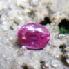 Ceylon Natural Pink Sapphire  Colour : Pink Shape : Oval Weight : 0.86 Cts Dimension : 6.1 x 4.9 x 3.3 mm Treatment : Unheated Clarity : VS   Sapphire is a precious gemstone, a variety of the mineral corundum, consisting of aluminum oxide with trace amounts of elements such as iron, titanium, chromium, copper, or magnesium. Sapphire deposits are found in Eastern Australia, Thailand, Sri Lanka, China, Vietnam, Madagascar, Greenland, East Africa, and in North America in mostly in Montana. Madagascar, Sri Lanka, and Kashmir produce large quantities of fine quality Sapphires for the world market. Sapphires are mined from alluvial deposits or from primary underground workings. Blue Sapphire and Ruby are the most popular Gemstone in Corundum Family. also, Orangy Pink Sapphire is called Padparadscha. The name Drive's from the Sinhalese word "padmaraga" " පද්මරාග", meaning lotus blossom, as the stone is of a similar color to the lotus blossom. Bi-Color Sapphire from DanuGroup Collection Also, Sapphire can be found as parti-color, bi-color or fancy color. Australia is a main parti-color Sapphire producer. White Sapphire also, White sapphire is a very popular stone to wear instead of Diamond as a 3rd hardness gemstone after diamond ( moissanite hardness is 9.5). Various colors of star sapphires A star sapphire is a type of sapphire that exhibits a star-like phenomenon known as asterism. Also, A rare variety of natural sapphire, known as color-change sapphire, exhibits different colors in a different light. Sapphires can be treated by several methods to enhance and improve their clarity and color. A common method is done by heating the sapphires in furnaces to temperatures between 500 and 1,850 °C for several hours, or by heating in a nitrogen-deficient atmosphere oven for 1 week or more. Geuda is a form of the mineral corundum. Geuda is found primarily in Sri Lanka. It's a semitransparent and milky appearance due to rutile inclusions. Geuda is used to improve its color by heat treatment. Some geuda varieties turn to a blue color after heat treatments and some turn to red after oxidizing. Also, Kowangu pushparaga turns to yellow sapphire after oxidizing. Sapphire Crystal system is a Trigonal crystal system with a hexagonal scalenohedral crystal class. Sapphire hardness is 9 according to the Mohs hardness scale with 4.0~4.1 specific gravity. Refractive index ω          =1.768–1.772 nε =1.760–1.763 Solubility = Insoluble Melting point = 2,030–2,050 °C Birefringence  = 0.008 Pleochroism = Strong Luster = Vitreous Sapphire is the birthstone for September and the gem of the 45th anniversary. Healing Properties of Sapphire Sapphire releases mental tension, depression, unwanted thoughts, and spiritual confusion.  Sapphire is known as a "stone of Wisdom". It is exceptional for calming and focusing the mind, allowing the release of mental tension and unwanted thoughts. Sapphire is also the best stone for awakening chakras. Dark Blue or Indigo Sapphire stimulates the Third Eye chakra. Blue Sapphire stimulates the Throat Chakra. Green sapphire stimulates Heart Chakra. Black Sapphire stimulates Base Chakra. White sapphire stimulates Crown Chakra. Yellow sapphire stimulates Solar Plexus Chakra.  Pink Sapphire Healings Pink Sapphire reflects the Light of the heart and love and stimulates the Heart Chakra, located near the center of the breastbone. It is believed that pink sapphires used for therapeutic purposes as crystals might nourish the emotional well-being of the person wearing the jewelry crafted from the gems. The theory behind these therapeutic beliefs centers on clearing emotional blockages from the past to release hurtful experiences. Pink Sapphire helps strengthen and balance the heart. It is also useful in balancing blood sugar, glucose metabolism and in cases of diabetes, hypoglycemia, and hyperglycemia. • Nourishing the Emotional Body with the PinkColor Ray • Energetic Columns of Support • Longevity and Extending the Lifespan of Your Cells • Astral Vision and Sensitivity to Energy