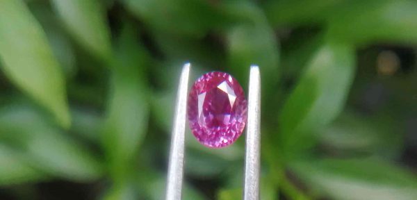 Ceylon Natural Pink Sapphire  Colour : Pink Shape : Oval Weight : 0.86 Cts Dimension : 6.1 x 4.9 x 3.3 mm Treatment : Unheated Clarity : VS   Sapphire is a precious gemstone, a variety of the mineral corundum, consisting of aluminum oxide with trace amounts of elements such as iron, titanium, chromium, copper, or magnesium. Sapphire deposits are found in Eastern Australia, Thailand, Sri Lanka, China, Vietnam, Madagascar, Greenland, East Africa, and in North America in mostly in Montana. Madagascar, Sri Lanka, and Kashmir produce large quantities of fine quality Sapphires for the world market. Sapphires are mined from alluvial deposits or from primary underground workings. Blue Sapphire and Ruby are the most popular Gemstone in Corundum Family. also, Orangy Pink Sapphire is called Padparadscha. The name Drive's from the Sinhalese word "padmaraga" " පද්මරාග", meaning lotus blossom, as the stone is of a similar color to the lotus blossom. Bi-Color Sapphire from DanuGroup Collection Also, Sapphire can be found as parti-color, bi-color or fancy color. Australia is a main parti-color Sapphire producer. White Sapphire also, White sapphire is a very popular stone to wear instead of Diamond as a 3rd hardness gemstone after diamond ( moissanite hardness is 9.5). Various colors of star sapphires A star sapphire is a type of sapphire that exhibits a star-like phenomenon known as asterism. Also, A rare variety of natural sapphire, known as color-change sapphire, exhibits different colors in a different light. Sapphires can be treated by several methods to enhance and improve their clarity and color. A common method is done by heating the sapphires in furnaces to temperatures between 500 and 1,850 °C for several hours, or by heating in a nitrogen-deficient atmosphere oven for 1 week or more. Geuda is a form of the mineral corundum. Geuda is found primarily in Sri Lanka. It's a semitransparent and milky appearance due to rutile inclusions. Geuda is used to improve its color by heat treatment. Some geuda varieties turn to a blue color after heat treatments and some turn to red after oxidizing. Also, Kowangu pushparaga turns to yellow sapphire after oxidizing. Sapphire Crystal system is a Trigonal crystal system with a hexagonal scalenohedral crystal class. Sapphire hardness is 9 according to the Mohs hardness scale with 4.0~4.1 specific gravity. Refractive index ω          =1.768–1.772 nε =1.760–1.763 Solubility = Insoluble Melting point = 2,030–2,050 °C Birefringence  = 0.008 Pleochroism = Strong Luster = Vitreous Sapphire is the birthstone for September and the gem of the 45th anniversary. Healing Properties of Sapphire Sapphire releases mental tension, depression, unwanted thoughts, and spiritual confusion.  Sapphire is known as a "stone of Wisdom". It is exceptional for calming and focusing the mind, allowing the release of mental tension and unwanted thoughts. Sapphire is also the best stone for awakening chakras. Dark Blue or Indigo Sapphire stimulates the Third Eye chakra. Blue Sapphire stimulates the Throat Chakra. Green sapphire stimulates Heart Chakra. Black Sapphire stimulates Base Chakra. White sapphire stimulates Crown Chakra. Yellow sapphire stimulates Solar Plexus Chakra.  Pink Sapphire Healings Pink Sapphire reflects the Light of the heart and love and stimulates the Heart Chakra, located near the center of the breastbone. It is believed that pink sapphires used for therapeutic purposes as crystals might nourish the emotional well-being of the person wearing the jewelry crafted from the gems. The theory behind these therapeutic beliefs centers on clearing emotional blockages from the past to release hurtful experiences. Pink Sapphire helps strengthen and balance the heart. It is also useful in balancing blood sugar, glucose metabolism and in cases of diabetes, hypoglycemia, and hyperglycemia. • Nourishing the Emotional Body with the PinkColor Ray • Energetic Columns of Support • Longevity and Extending the Lifespan of Your Cells • Astral Vision and Sensitivity to Energy