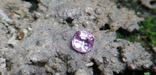 Colour : Light Pink Shape : Round Weight : 0.85 Cts Dimension : 5.7 x 5.6 x 3.6 mm Treatment : Unheated Clarity : VS • CSL - Colored Stone Laboratory Certified ( GIA Alumina Association Member ) • CSL Memo No : 4B9F320CODBB 粉紅的藍寶石 重量 : 0.85 卡拉 尺寸 : 5.7 x 5.6 x 3.6 mm 颜色 : 粉红色 透明 : 好透明 形状 : 圆形 治療 : 没有加熱 清晰度 : VS