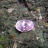 Ceylon Natural Pink Sapphire 