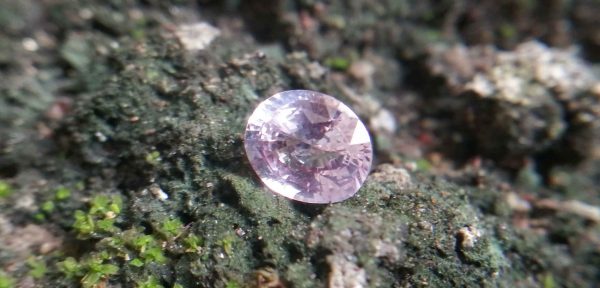 Colour : Light Pink Shape : Oval Weight : 1.40 Cts Dimension : 7.2 x 6.1 x 3.9 mm Treatment : Unheated Clarity : VS • CSL - Colored Stone Laboratory Certified ( GIA Alumina Association Member ) • CSL Memo No : C81E6DB5374B 粉紅的藍寶石 重量 : 1.40 卡拉 尺寸 : 7.2 x 6.1 x 3.9 mm 颜色 : 粉红色 透明 : 好透明 形状 : 椭圆形 治療 : 没有加熱 清晰度 : VS