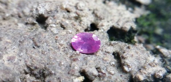 Ceylon Natural Pink Sapphire 粉紅的藍寶石 Colour : Pink Shape : Oval Weight : 0.42 cts Dimension :5.2 x 3.7 x 2.7 mm Treatment : Unheated Clarity : SI • CSL - Colored Stone Laboratory Certified ( GIA Alumina Association Member ) • CSL Memo No : OE17656C88A1 粉紅的藍寶石 重量 : 0.42 卡拉 尺寸 : 5.2 x 3.7 x 2.7 mm 颜色 : 粉红色 透明 : 好透明 形状 : 椭圆形 治療 : 没有加熱 清晰度 : SI