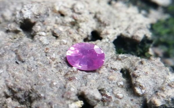 Ceylon Natural Pink Sapphire 粉紅的藍寶石 Colour : Pink Shape : Oval Weight : 0.42 cts Dimension ：5.2 x 3.7 x 2.7 mm Treatment : Unheated Clarity : SI • CSL - Colored Stone Laboratory Certified ( GIA Alumina Association Member ) • CSL Memo No : OE17656C88A1 粉紅的藍寶石 重量 : 0.42 卡拉 尺寸 : 5.2 x 3.7 x 2.7 mm 颜色 : 粉红色 透明 : 好透明 形状 : 椭圆形 治療 : 没有加熱 清晰度 : SI
