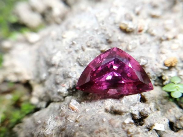Colour : Purplish Pink Shape : Triangular Weight : 2.49 Cts Dimension : 10.8 x 6.8 x 5.4 mm Treatment : Unheated Clarity : Clean • CSL - Colored Stone Laboratory Certified ( GIA Alumina Association Member ) • CSL Memo No : 86AF34DE46E3 紫红色尖晶石 重量 : 2.49 卡拉 尺寸 : 10.8 x 6.8 x 5.4 mm 颜色 : 紫红色 透明 : 好透明 形状 : 三角形 清晰度 : 清洁 治疗: 没有加热