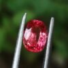https://danugroup.lk/?product_category=&s=padparadscha+sapphire&post_type=product
