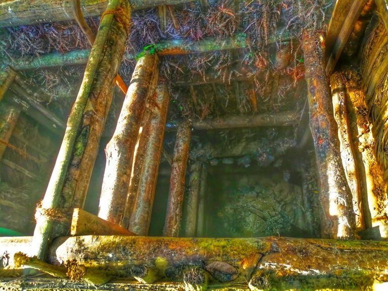 Gem Industry in Sri Lanka Danu Group