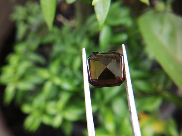 Colour : Orangy-Brown Shape : Octagon Weight : 5.94 Cts Dimension : 10.2 x 10.2 x 8.0 mm Treatment : Unheated Clarity : VVS • CSL - Colored Stone Laboratory Certified ( GIA Alumni Association Member ) • CSL Memo No : CD366298D668 Dravite Tourmaline Sri Lanka Dravite is the sodium magnesium rich Variety in the tourmaline family. Tourmaline is a crystalline boron silicate mineral compounded with elements such as aluminium, iron, magnesium, sodium, lithium, or potassium. The gemstone comes in a wide variety of colors such as black, brown, red, orange, yellow, green, blue, violet, pink, bi-colored, tri-colored and rarely can be neon green or electric blue. Tourmaline pleochroism is typically moderate to Strong. It is Cyclosilicate mineral with 7-7.5 hardness according to the more hardness scale and 3.06 (+.20 -.06) specific gravity. It is a Double refractive, uniaxial (-) mineral with the Trigonal crystal system. Tourmaline can be seen fluorescent inert to very weak red to violet in the long and short wave in pink Stones. Tourmaline can be found in India, Brazil, Tanzania, Nigeria, Kenya, Madagascar, Mozambique, Namibia, Afghanistan, Sri Lanka, USA, Ethiopia. Tourmaline Healing Properties Tourmaline balances the right-left sides of the brain. It Helps treat paranoia, overcomes dyslexia. Also, It Improves circulation and supports the liver and kidneys.                            Tourmaline helps to eliminate toxic metals in the body and Reduces lactic acids and free fatty acids. It is a stone of purification, cleansing the emotional body of negative thoughts, anxieties, anger, and feelings of unworthiness.                         The brown tourmaline brings gentle and soothing healing of your emotional body. It is a very strong grounding stone that raises one’s stamina and protective energies. Brown tourmaline works specifically with the heart chakra to provide self-healing and rejuvenating energies.