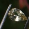Colour : Light Yellow Shape : Pear Weight : 0.75 Cts Dimension : 7.1 x 4.9 x 3.1 mm Treatment : Heated Clarity : SI Sapphire is a precious gemstone, a variety of the mineral corundum, consisting of aluminum oxide with trace amounts of elements such as iron, titanium, chromium, copper, or magnesium. Sapphire deposits are found in Eastern Australia, Thailand, Sri Lanka, China, Vietnam, Madagascar, Greenland, East Africa, and in North America in mostly in Montana. Madagascar, Sri Lanka, and Kashmir produce large quantities of fine quality Sapphires for the world market. Sapphires are mined from alluvial deposits or from primary underground workings.   Blue Sapphire and Ruby are the most popular Gemstone in Corundum Family. also, Orangy Pink Sapphire is called Padparadscha. The name Drive's from the Sinhalese word "padmaraga" " පද්මරාග", meaning lotus blossom, as the stone is of a similar color to the lotus blossom. Bi-Color Sapphire from DanuGroup Collection Also, Sapphire can be found as parti-color, bi-color or fancy color. Australia is a main parti-color Sapphire producer. White Sapphire also, White sapphire is a very popular stone to wear instead of Diamond as a 3rd hardness gemstone after diamond ( moissanite hardness is 9.5). Various colors of star sapphires A star sapphire is a type of sapphire that exhibits a star-like phenomenon known as asterism. Also, A rare variety of natural sapphire, known as color-change sapphire, exhibits different colors in a different light. Sapphires can be treated by several methods to enhance and improve their clarity and color. A common method is done by heating the sapphires in furnaces to temperatures between 500 and 1,850 °C for several hours, or by heating in a nitrogen-deficient atmosphere oven for 1 week or more. Geuda is a form of the mineral corundum. Geuda is found primarily in Sri Lanka. It's a semitransparent and milky appearance due to rutile inclusions. Geuda is used to improve its color by heat treatment. Some geuda varieties turn to a blue color after heat treatments and some turn to red after oxidizing. Also, Kowangu pushparaga turns to yellow sapphire after oxidizing. Sapphire Crystal system is a Trigonal crystal system with a hexagonal scalenohedral crystal class. Sapphire hardness is 9 according to the Mohs hardness scale with 4.0~4.1 specific gravity. Refractive index ω          =1.768–1.772 nε =1.760–1.763 Solubility = Insoluble Melting point = 2,030–2,050 °C Birefringence  = 0.008 Pleochroism = Strong Luster = Vitreous Sapphire is the birthstone for September and the gem of the 45th anniversary. Healing Properties of Sapphire Sapphire releases mental tension, depression, unwanted thoughts, and spiritual confusion.  Sapphire is known as a "stone of Wisdom". It is exceptional for calming and focusing the mind, allowing the release of mental tension and unwanted thoughts. Sapphire is also the best stone for awakening chakras. Dark Blue or Indigo Sapphire stimulates the Third Eye chakra. Blue Sapphire stimulates the Throat Chakra. Green sapphire stimulates Heart Chakra. Black Sapphire stimulates Base Chakra. White sapphire stimulates Crown Chakra. Yellow sapphire stimulates Solar Plexus Chakra.   Yellow Sapphire is one of the most recognized gemstones in Vedic astrology worn for professional success, marital bliss, improved will power, and healthy progeny. It is believed to hold the powers of the planet Jupiter. Jupiter is the heaviest planet in the solar system, hence imparting distinctive powers to Yellow Sapphire over other precious stones. It is known for providing healing powers in the ailments of the kidneys, mouth, rheumatism, cough, and fever. Yellow Sapphires are worn in the Index finger of the correct hand on a Thursday morning of the Shukla Paksha (waxing moon).