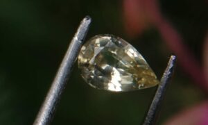 Colour : Light Yellow Shape : Pear Weight : 0.75 Cts Dimension : 7.1 x 4.9 x 3.1 mm Treatment : Heated Clarity : SI Sapphire is a precious gemstone, a variety of the mineral corundum, consisting of aluminum oxide with trace amounts of elements such as iron, titanium, chromium, copper, or magnesium. Sapphire deposits are found in Eastern Australia, Thailand, Sri Lanka, China, Vietnam, Madagascar, Greenland, East Africa, and in North America in mostly in Montana. Madagascar, Sri Lanka, and Kashmir produce large quantities of fine quality Sapphires for the world market. Sapphires are mined from alluvial deposits or from primary underground workings. Blue Sapphire and Ruby are the most popular Gemstone in Corundum Family. also, Orangy Pink Sapphire is called Padparadscha. The name Drive's from the Sinhalese word "padmaraga" " පද්මරාග", meaning lotus blossom, as the stone is of a similar color to the lotus blossom. Bi-Color Sapphire from DanuGroup Collection Also, Sapphire can be found as parti-color, bi-color or fancy color. Australia is a main parti-color Sapphire producer. White Sapphire also, White sapphire is a very popular stone to wear instead of Diamond as a 3rd hardness gemstone after diamond ( moissanite hardness is 9.5). Various colors of star sapphires A star sapphire is a type of sapphire that exhibits a star-like phenomenon known as asterism. Also, A rare variety of natural sapphire, known as color-change sapphire, exhibits different colors in a different light. Sapphires can be treated by several methods to enhance and improve their clarity and color. A common method is done by heating the sapphires in furnaces to temperatures between 500 and 1,850 °C for several hours, or by heating in a nitrogen-deficient atmosphere oven for 1 week or more. Geuda is a form of the mineral corundum. Geuda is found primarily in Sri Lanka. It's a semitransparent and milky appearance due to rutile inclusions. Geuda is used to improve its color by heat treatment. Some geuda varieties turn to a blue color after heat treatments and some turn to red after oxidizing. Also, Kowangu pushparaga turns to yellow sapphire after oxidizing. Sapphire Crystal system is a Trigonal crystal system with a hexagonal scalenohedral crystal class. Sapphire hardness is 9 according to the Mohs hardness scale with 4.0~4.1 specific gravity. Refractive index ω =1.768–1.772 nε =1.760–1.763 Solubility = Insoluble Melting point = 2,030–2,050 °C Birefringence = 0.008 Pleochroism = Strong Luster = Vitreous Sapphire is the birthstone for September and the gem of the 45th anniversary. Healing Properties of Sapphire Sapphire releases mental tension, depression, unwanted thoughts, and spiritual confusion. Sapphire is known as a "stone of Wisdom". It is exceptional for calming and focusing the mind, allowing the release of mental tension and unwanted thoughts. Sapphire is also the best stone for awakening chakras. Dark Blue or Indigo Sapphire stimulates the Third Eye chakra. Blue Sapphire stimulates the Throat Chakra. Green sapphire stimulates Heart Chakra. Black Sapphire stimulates Base Chakra. White sapphire stimulates Crown Chakra. Yellow sapphire stimulates Solar Plexus Chakra. Yellow Sapphire is one of the most recognized gemstones in Vedic astrology worn for professional success, marital bliss, improved will power, and healthy progeny. It is believed to hold the powers of the planet Jupiter. Jupiter is the heaviest planet in the solar system, hence imparting distinctive powers to Yellow Sapphire over other precious stones. It is known for providing healing powers in the ailments of the kidneys, mouth, rheumatism, cough, and fever. Yellow Sapphires are worn in the Index finger of the correct hand on a Thursday morning of the Shukla Paksha (waxing moon).