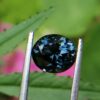 Colour : Blue Shape : Oval Weight : 1.55 Cts Dimension : 8.0 x 6.9 x 4.1 mm Treatment : Unheated Clarity : I Spinel is the magnesium-aluminum member of the larger spinel group of minerals with chemical formula MgAl₂O₄. Spinel is actually a large group of minerals. Gahnite, hercynite, ceylonite, picotite, and galaxite are all part of the spinel group. This oxide mineral is a Cubic crystal system with 7.5–8.0 hardness according to the Mohs hardness scale. Spinels Specific Gravity is depending on the composition of chemicals such as Zn-rich spinel can be as high as 4.40, otherwise, it averages from 3.58 to 3.61. Spinel has many colors such as red, pink, blue, lavender/violet, dark green, brown, black, colorless, gray. Spinel is a single reflective Non-pleochroic gemstone and Anomalous in some blue zincian varieties. It can be found as Opaque, Translucent or transparent. Spinel RI value is n = 1.719 Some red and pink spinels have fluorescence under UV Light. also, Some spinels have magnetism Weak to medium. Natural spinels typically are not enhanced. Spinels are found in Madagascar, Sri Lanka, Vietnam, Myanmar, Tanzania, Kenya, Nigeria, Afghanistan, Albania, Algeria, Atlantic Ocean, Australia, Belgium, Bolivia, Brazil, Cambodia, Canada. Spinel has long been found in the gemstone-bearing gravel of Sri Lanka. Since 2000 in several locations around the world have been discovered spinels with unusual vivid colors. when the mineral is pure, it’s colorless. That's called allochromatic gemstones. Als, Spinels are found with 4-rayed stars and 6-rayed stars. Some spinels are found with a color-changing effect such as Blue to violet, Grayish-blue to reddish-violet and some stones from Sri Lanka change from violet to reddish violet, due to the presence of Fe, Cr, and V. Blue Spinel is a very special gemstone because it is one of the few that occur naturally. The blue Spinel is colored from the impurity of Cobalt in the crystal lattice. High Color saturation in blue Spinels are always colored by Cobalt and are extremely rare to find. Cobalt spinel has high market value. Healing Properties of Spinels 👇 Spinel is known as the stone of revitalization. This MgAl2O4 mineral powers make the gums and teeth stronger and is also beneficial for gums, skin, slimming the healthy and overweight body and cancer healing. Spinel promotes physical vitality, refills the energy and eases exhaustion. Spinel is a very soothing stone, as it calms and relieves stress, anxiety, PTSD and depression. Also, Spinel is working with chakra balancing. Black Spinel - Earth Star Chakra , Red or Pink - Spinel Base Chakra, Green Spinel - Heart chakra, Blue Spinel - Throat chakra, Purple Spinel - Crown chakra.