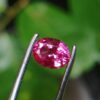 Ceylon Natural Pink Sapphire
