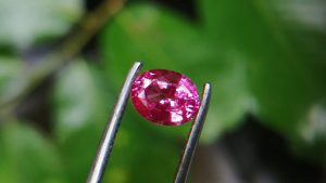 Ceylon Natural Pink Sapphire
