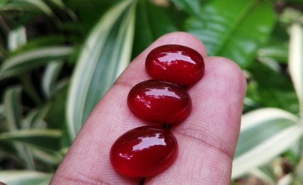 Color : Red Stone : Carnelian Weight : 6.10 Cts / 6.45 Cts / 6.40 Cts Dimension : 14.0 x 10.0 x 6.0 mm Treatment : Unheated Shape : Oval Cut : Cabochon Carnelian is a brownish-red or Orangy Red mineral variety of the silica mineral chalcedony colored by impurities of iron oxide Carnelian is created when liquid magma from a volcanic explosion cools down and transforms into igneous rock. During this cooling down period, silica acid bubbles shift from being a gas/liquid into a solid compound. Carnelian hardness is 6-7 according to the Mohs Hardness scale with 2.59–2.61 specific gravity. It is found colors such as Brownish-red, Orangy-red, Deep-red. Carnelian can be found locations such as Austria, China, Canada, Bulgaria, Australia, Brazil, Egypt, France, Germany, USA, UK, Switzerland, Sri Lanka, Slovakia, Russia, South Africa, New Zealand, Namibia. Carnelian crystal is a warm, vibrant stone that boosts confidence and the power of true expression. Carnelian is stimulating metabolism and a good supply of blood to the organs and tissues and aids in menstrual and menopausal symptoms and may aid in vitro and artificial insemination. It benefits the absorption of vitamins, nutrients, and minerals in the small intestine, and improves blood viscosity and circulation. Carnelian stimulates the Sacral Chakra located below the naval and above the pubic bone at the front of the pelvis. It controls the flow of energy and is the center of gravity of the body. It is the center of the Life Force of the body and controls the flow of information from the body to the mind and from the mind to the body. Carnelian is the traditional zodiac stone for those born under the sign Virgo, between August 23 and September 22, at the end of summer and the beginning of harvest. Carnelian increases blood circulation, aids in male impotency, increases appetite, alleviates problems of the liver, bladder, kidneys, and spleen. It can help with PMS as well as anxiety associated with sexual anxieties.