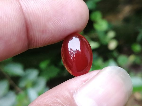 Color : Red Stone : Carnelian Weight : 6.10 Cts / 6.45 Cts / 6.40 Cts Dimension : 14.0 x 10.0 x 6.0 mm Treatment : Unheated Shape : Oval Cut : Cabochon Carnelian is a brownish-red or Orangy Red mineral variety of the silica mineral chalcedony colored by impurities of iron oxide Carnelian is created when liquid magma from a volcanic explosion cools down and transforms into igneous rock. During this cooling down period, silica acid bubbles shift from being a gas/liquid into a solid compound. Carnelian hardness is 6-7 according to the Mohs Hardness scale with 2.59–2.61 specific gravity. It is found colors such as Brownish-red, Orangy-red, Deep-red. Carnelian can be found locations such as Austria, China, Canada, Bulgaria, Australia, Brazil, Egypt, France, Germany, USA, UK, Switzerland, Sri Lanka, Slovakia, Russia, South Africa, New Zealand, Namibia. Carnelian crystal is a warm, vibrant stone that boosts confidence and the power of true expression. Carnelian is stimulating metabolism and a good supply of blood to the organs and tissues and aids in menstrual and menopausal symptoms and may aid in vitro and artificial insemination. It benefits the absorption of vitamins, nutrients, and minerals in the small intestine, and improves blood viscosity and circulation. Carnelian stimulates the Sacral Chakra located below the naval and above the pubic bone at the front of the pelvis. It controls the flow of energy and is the center of gravity of the body. It is the center of the Life Force of the body and controls the flow of information from the body to the mind and from the mind to the body. Carnelian is the traditional zodiac stone for those born under the sign Virgo, between August 23 and September 22, at the end of summer and the beginning of harvest. Carnelian increases blood circulation, aids in male impotency, increases appetite, alleviates problems of the liver, bladder, kidneys, and spleen. It can help with PMS as well as anxiety associated with sexual anxieties.