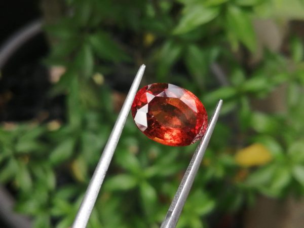 Ceylon Hessonite Garnet - Cinnamon Stone