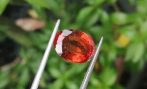 Ceylon Hessonite Garnet - Cinnamon Stone