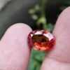 Colour : Reddish-Orange Shape : Oval Weight : 5.85 Cts Dimension : 12.1 x 9.5 x 6.1 mm Treatment : Unheated Clarity : I Hessonite is a calcium aluminum silicate. It is an orangish brown version of grossular garnet that is also known as 'cinnamon stone' because of its color. Hessonite garnet is astrological gem related to Rahu (Moon's ascending node), which is mainly an elemental and instinctual entity. When badly positioned, this "shadow planet" is characterized by insatiable recognitions and desires together with sense gratification. This stone can also be used to treat various skin infections, as well as fear psychosis and multiple personality disorders.                                                          Hessonite Garnet will also help you deal with issues of sexuality or lack of emotional balance                                                                                             Garnets are a group of silicate minerals. All species of garnets possess similar physical properties and crystal forms but differ in chemical composition Such as Pyrope Mg3Al2Si3O12, Almandine Fe3Al2Si3O12, Spessartine Mn3Al2Si3O12, Andradite Ca3Fe2Si3O12, Grossular Ca3Al2Si3O12, Uvarovite Ca3Cr2Si3O12. Most Garnets have a variable magnetic attraction. This characteristic also uses to identify garnet. Pyrope - almandine - spessartine and uvarovite - grossular - andradite is two solid solution series of garnets. This nesosilicates mineral Specific gravity is 3.1–4.3 with 6.5–7.5 hardness according to the Mohs hardness scale. Garnets don't have Pleochroism, It's a single Reflective Stone in gemstone families. Garnet has many kinds of color such as Red, Purple, Green, Yellow, Orange, pink, Colour Change, Blue, Brown, Black, Colourless. Blue Garnet is very rare. In history, Red garnets were the most commonly used gemstones. In industrial, Garnet sand is a good abrasive, and a common replacement for silica sand in sandblasting. Garnet is found in Sri Lanka, Tanzania, Madagascar, Ethiopia, USA, France, Germany, Mexico, Norway, Russia, Turkey, Zimbabwe, Australia, Austria, Canada. Garnet is the traditional birthstone of those born in January and the birthstone of Aquarius in astrology. Healing Properties of Garnet 👇  This nesosilicates Gemstone cleanses and re-energizes the chakras. Garnet Associates with Base and Heart Chakra and regenerates the body and stimulates the metabolism. Garnet regenerates the body, stimulating metabolism. Garnet treats spinal and cellular disorders, purifies the blood, heart, and lungs, and regenerates DNA and assists assimilation of minerals and vitamins Such as iodine, calcium, magnesium, and Vitamins A, D, and E. [ Vitamins and Minerals Guide ]