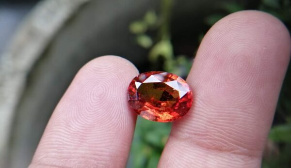 Colour : Reddish-Orange Shape : Oval Weight : 5.85 Cts Dimension : 12.1 x 9.5 x 6.1 mm Treatment : Unheated Clarity : I Hessonite is a calcium aluminum silicate. It is an orangish brown version of grossular garnet that is also known as 'cinnamon stone' because of its color. Hessonite garnet is astrological gem related to Rahu (Moon's ascending node), which is mainly an elemental and instinctual entity. When badly positioned, this "shadow planet" is characterized by insatiable recognitions and desires together with sense gratification. This stone can also be used to treat various skin infections, as well as fear psychosis and multiple personality disorders.                                                          Hessonite Garnet will also help you deal with issues of sexuality or lack of emotional balance                                                                                             Garnets are a group of silicate minerals. All species of garnets possess similar physical properties and crystal forms but differ in chemical composition Such as Pyrope Mg3Al2Si3O12, Almandine Fe3Al2Si3O12, Spessartine Mn3Al2Si3O12, Andradite Ca3Fe2Si3O12, Grossular Ca3Al2Si3O12, Uvarovite Ca3Cr2Si3O12. Most Garnets have a variable magnetic attraction. This characteristic also uses to identify garnet. Pyrope - almandine - spessartine and uvarovite - grossular - andradite is two solid solution series of garnets. This nesosilicates mineral Specific gravity is 3.1–4.3 with 6.5–7.5 hardness according to the Mohs hardness scale. Garnets don't have Pleochroism, It's a single Reflective Stone in gemstone families. Garnet has many kinds of color such as Red, Purple, Green, Yellow, Orange, pink, Colour Change, Blue, Brown, Black, Colourless. Blue Garnet is very rare. In history, Red garnets were the most commonly used gemstones. In industrial, Garnet sand is a good abrasive, and a common replacement for silica sand in sandblasting. Garnet is found in Sri Lanka, Tanzania, Madagascar, Ethiopia, USA, France, Germany, Mexico, Norway, Russia, Turkey, Zimbabwe, Australia, Austria, Canada. Garnet is the traditional birthstone of those born in January and the birthstone of Aquarius in astrology. Healing Properties of Garnet 👇  This nesosilicates Gemstone cleanses and re-energizes the chakras. Garnet Associates with Base and Heart Chakra and regenerates the body and stimulates the metabolism. Garnet regenerates the body, stimulating metabolism. Garnet treats spinal and cellular disorders, purifies the blood, heart, and lungs, and regenerates DNA and assists assimilation of minerals and vitamins Such as iodine, calcium, magnesium, and Vitamins A, D, and E. [ Vitamins and Minerals Guide ]