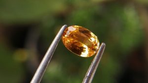 Ceylon Vivis Yellow Sapphire Yellow Sapphire is a yellow color variety of mineral corundum. Sapphire is a precious gemstone, a variety of the mineral corundum, consisting of aluminum oxide with trace amounts of elements such as iron, titanium, chromium, copper, or magnesium. Sapphire deposits are found in Eastern Australia, Thailand, Sri Lanka, China, Vietnam, Madagascar, Greenland, East Africa, and in North America in mostly in Montana. Madagascar, Sri Lanka, and Kashmir produce large quantities of fine quality Sapphires for the world market. Sapphires are mined from alluvial deposits or from primary underground workings. Blue Sapphire and Ruby are the most popular Gemstone in Corundum Family. also, Orangy Pink Sapphire is called Padparadscha. The name Drive's from the Sinhalese word "padmaraga" " පද්මරාග", meaning lotus blossom, as the stone is of a similar color to the lotus blossom. Also, Sapphire can be found as parti-color, bi-color or fancy color. Australia is a main parti-color Sapphire producer. also, White sapphire is a very popular stone to wear instead of Diamond as a 3rd hardness gemstone after diamond ( moissanite hardness is 9.5). A star sapphire is a type of sapphire that exhibits a star-like phenomenon known as asterism. Also, A rare variety of natural sapphire, known as color-change sapphire, exhibits different colors in a different light. Sapphires can be treated by several methods to enhance and improve their clarity and color. A common method is done by heating the sapphires in furnaces to temperatures between 500 and 1,850 °C for several hours, or by heating in a nitrogen-deficient atmosphere oven for 1 week or more. Geuda is a form of the mineral corundum. Geuda is found primarily in Sri Lanka. It's a semitransparent and milky appearance due to rutile inclusions. Geuda is used to improve its color by heat treatment. Some geuda varieties turn to a blue color after heat treatments and some turn to red after oxidizing. Also, Kowangu pushparaga turns to yellow sapphire after oxidizing. Sapphire Crystal system is a Trigonal crystal system with hexagonal scalenohedral crystal class. Sapphire hardness is 9 according to the Mohs hardness scale with 4.0~4.1 specific gravity. Refractive index ω=1.768–1.772 nε =1.760–1.763 Solubility = Insoluble Melting point = 2,030–2,050 °C Birefringence = 0.008 Pleochroism = Strong Luster = Vitreous Sapphire is the birthstone for September and the gem of the 45th anniversary. Healing Properties of Sapphire Sapphire releases mental tension, depression, unwanted thoughts, and spiritual confusion. Sapphire is known as a "stone of Wisdom". It is exceptional for calming and focusing the mind, allowing the release of mental tension and unwanted thoughts. Sapphire is also the best stone for awakening chakras. Dark Blue or Indigo Sapphire stimulates the Third Eye chakra. Blue Sapphire stimulates the Throat Chakra. Green sapphire stimulates Heart Chakra. Black Sapphire stimulates Base Chakra. White sapphire stimulates Crown Chakra. Yellow sapphire stimulates Solar Plexus Chakra. It is one of the most recognized gemstones in vedic astrology worn for professional success, marital bliss, improved will power and healthy progeny. It is believed to hold the powers of the planet Jupiter. Jupiter is the heaviest planet in the solar system, hence imparting distinctive powers to Yellow Sapphire over other precious stones. It is known for providing healing powers in the ailments of the kidneys, mouth, rheumatism, cough and fever. Yellow Sapphires are worn in the Index finger of the correct hand on a Thursday morning of the Shukla Paksha (waxing moon). Descriptions Colour : Vivid Yellow Shape : Oval Weight : 0.61 Cts Dimension : 6.3 x 4.5 x 2.6 mm Treatment : Heated Clarity : VVS • CSL - Colored Stone Laboratory Certified ( GIA Alumina Association Member )