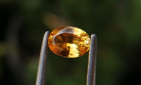 Ceylon Vivis Yellow Sapphire Yellow Sapphire is a yellow color variety of mineral corundum. Sapphire is a precious gemstone, a variety of the mineral corundum, consisting of aluminum oxide with trace amounts of elements such as iron, titanium, chromium, copper, or magnesium. Sapphire deposits are found in Eastern Australia, Thailand, Sri Lanka, China, Vietnam, Madagascar, Greenland, East Africa, and in North America in mostly in Montana. Madagascar, Sri Lanka, and Kashmir produce large quantities of fine quality Sapphires for the world market. Sapphires are mined from alluvial deposits or from primary underground workings. Blue Sapphire and Ruby are the most popular Gemstone in Corundum Family. also, Orangy Pink Sapphire is called Padparadscha. The name Drive's from the Sinhalese word "padmaraga" " පද්මරාග", meaning lotus blossom, as the stone is of a similar color to the lotus blossom. Also, Sapphire can be found as parti-color, bi-color or fancy color. Australia is a main parti-color Sapphire producer. also, White sapphire is a very popular stone to wear instead of Diamond as a 3rd hardness gemstone after diamond ( moissanite hardness is 9.5). A star sapphire is a type of sapphire that exhibits a star-like phenomenon known as asterism. Also, A rare variety of natural sapphire, known as color-change sapphire, exhibits different colors in a different light. Sapphires can be treated by several methods to enhance and improve their clarity and color. A common method is done by heating the sapphires in furnaces to temperatures between 500 and 1,850 °C for several hours, or by heating in a nitrogen-deficient atmosphere oven for 1 week or more. Geuda is a form of the mineral corundum. Geuda is found primarily in Sri Lanka. It's a semitransparent and milky appearance due to rutile inclusions. Geuda is used to improve its color by heat treatment. Some geuda varieties turn to a blue color after heat treatments and some turn to red after oxidizing. Also, Kowangu pushparaga turns to yellow sapphire after oxidizing. Sapphire Crystal system is a Trigonal crystal system with hexagonal scalenohedral crystal class. Sapphire hardness is 9 according to the Mohs hardness scale with 4.0~4.1 specific gravity. Refractive index ω=1.768–1.772 nε =1.760–1.763 Solubility = Insoluble Melting point = 2,030–2,050 °C Birefringence = 0.008 Pleochroism = Strong Luster = Vitreous Sapphire is the birthstone for September and the gem of the 45th anniversary. Healing Properties of Sapphire Sapphire releases mental tension, depression, unwanted thoughts, and spiritual confusion. Sapphire is known as a "stone of Wisdom". It is exceptional for calming and focusing the mind, allowing the release of mental tension and unwanted thoughts. Sapphire is also the best stone for awakening chakras. Dark Blue or Indigo Sapphire stimulates the Third Eye chakra. Blue Sapphire stimulates the Throat Chakra. Green sapphire stimulates Heart Chakra. Black Sapphire stimulates Base Chakra. White sapphire stimulates Crown Chakra. Yellow sapphire stimulates Solar Plexus Chakra. It is one of the most recognized gemstones in vedic astrology worn for professional success, marital bliss, improved will power and healthy progeny. It is believed to hold the powers of the planet Jupiter. Jupiter is the heaviest planet in the solar system, hence imparting distinctive powers to Yellow Sapphire over other precious stones. It is known for providing healing powers in the ailments of the kidneys, mouth, rheumatism, cough and fever. Yellow Sapphires are worn in the Index finger of the correct hand on a Thursday morning of the Shukla Paksha (waxing moon). Descriptions Colour : Vivid Yellow Shape : Oval Weight : 0.61 Cts Dimension : 6.3 x 4.5 x 2.6 mm Treatment : Heated Clarity : VVS • CSL - Colored Stone Laboratory Certified ( GIA Alumni Association Member )