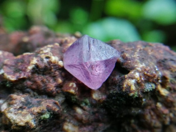 Natural Purplish-Pink Spinel Sri Lanka Spinel is the magnesium-aluminum member of the larger spinel group of minerals with chemical formula MgAl₂O₄. Spinel is actually a large group of minerals. Gahnite, hercynite, ceylonite, picotite, and galaxite are all part of the spinel group. This oxide mineral is a Cubic crystal system with 7.5–8.0 hardness according to the Mohs hardness scale. Spinels Specific Gravity is depending on the composition of chemicals such as Zn-rich spinel can be as high as 4.40, otherwise, it averages from 3.58 to 3.61. Spinel has many colors such as red, pink, blue, lavender/violet, dark green, brown, black, colorless, gray. Spinel is a single reflective Non-pleochroic gemstone and Anomalous in some blue zincian varieties. It can be found as Opaque, Translucent or transparent. Spinel RI value is n = 1.719 Some red and pink spinels have fluorescence under UV Light. also, Some spinels have magnetism Weak to medium. Natural spinels typically are not enhanced. Spinels are found in Madagascar, Sri Lanka, Vietnam, Myanmar, Tanzania, Kenya, Nigeria, Afghanistan, Albania, Algeria, Atlantic Ocean, Australia, Belgium, Bolivia, Brazil, Cambodia, Canada. Spinel has long been found in the gemstone-bearing gravel of Sri Lanka. Since 2000 in several locations around the world have been discovered spinels with unusual vivid colors. when the mineral is pure, it’s colorless. That's called allochromatic gemstones. Als, Spinels are found with 4-rayed stars and 6-rayed stars. Some spinels are found with a color-changing effect such as Blue to violet, Grayish-blue to reddish-violet and some stones from Sri Lanka change from violet to reddish violet, due to the presence of Fe, Cr, and V. Blue Spinel is a very special gemstone because it is one of the few that occur naturally. The blue Spinel is colored from the impurity of Cobalt in the crystal lattice. High Color saturation in blue Spinels are always colored by Cobalt and are extremely rare to find. Cobalt spinel has a high market value. Healing Properties of Spinels 👇 Spinel is known as the stone of revitalization. This MgAl2O4 mineral powers make the gums and teeth stronger and are also beneficial for gums, skin, slimming the healthy and overweight body and cancer healing. Spinel promotes physical vitality, refills the energy and eases exhaustion. Spinel is a very soothing stone, as it calms and relieves stress, anxiety, PTSD and depression. Also, Spinel is working with chakra balancing. Blue Spinel stimulates throat chakra and help to user stay in spiritual path. Descriptions Colour : Purplish-Pink Shape : Prismatic Cubic Weight : 2.60 Cts Dimension : 7.9 x 8 x 8.5 mm Treatment : Unheated Clarity : I 粉色尖晶石 重量 : 2.60 卡拉 尺寸 : 7.9 x 8 x 8.5 mm 颜色 : 粉色 透明 : 好透明 形状 : 棱柱立方 清晰度 : I 治疗：没有加热