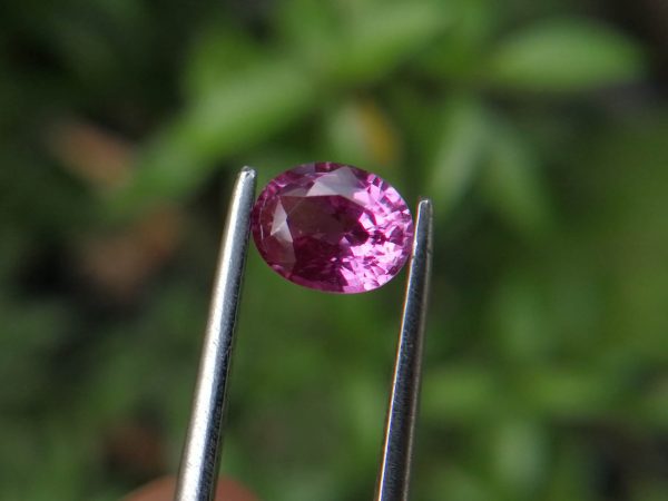 Natural Pink Sapphire Sri lanka - Danu Group