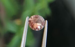 Natural Champagne Sapphire - Peach Sapphire
