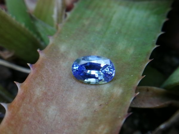 Ceylon Blue Sapphire - Blue Sapphire Stimulates the Third-Eye Chakra and Throat Chakra 3 views•Jan 29, 2020