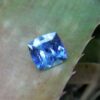 Ceylon Cornflower Blue Sapphire - Blue Sapphire Stimulates the Third-Eye Chakra and Throat Chakra