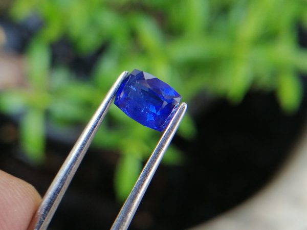 Ceylon Vivid Royal Blue Sapphire