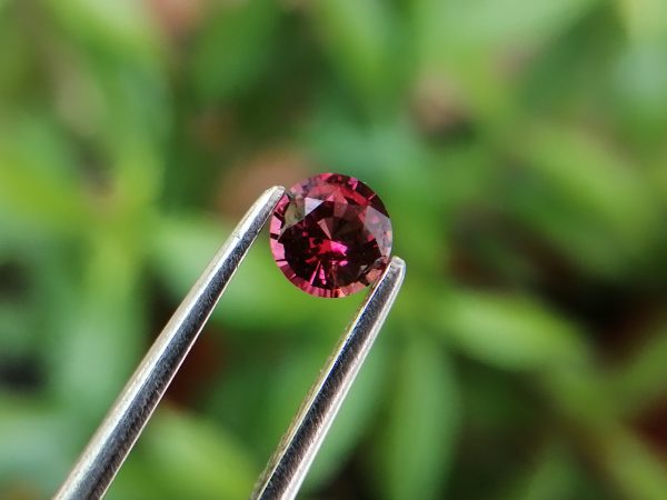 Hot Pink Sapphire Sri Lanka