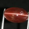 Natural coffee brown Scapolite Cats Eye