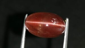 Natural coffee brown Scapolite Cats Eye