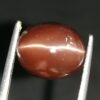 Natural coffee brown Scapolite Cats Eye