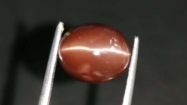 Natural coffee brown Scapolite Cats Eye