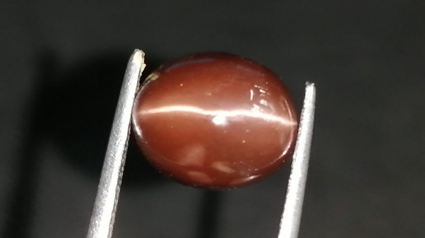 Natural coffee brown Scapolite Cats Eye