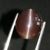 Natural coffee brown Scapolite Cats Eye