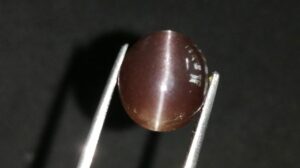 Natural coffee brown Scapolite Cats Eye