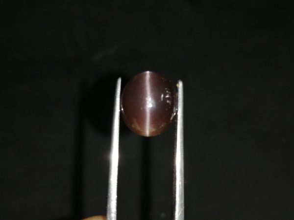 Natural coffee brown Scapolite Cats Eye
