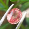 Best Quality Padparadscha Sapphire Sri Lanka