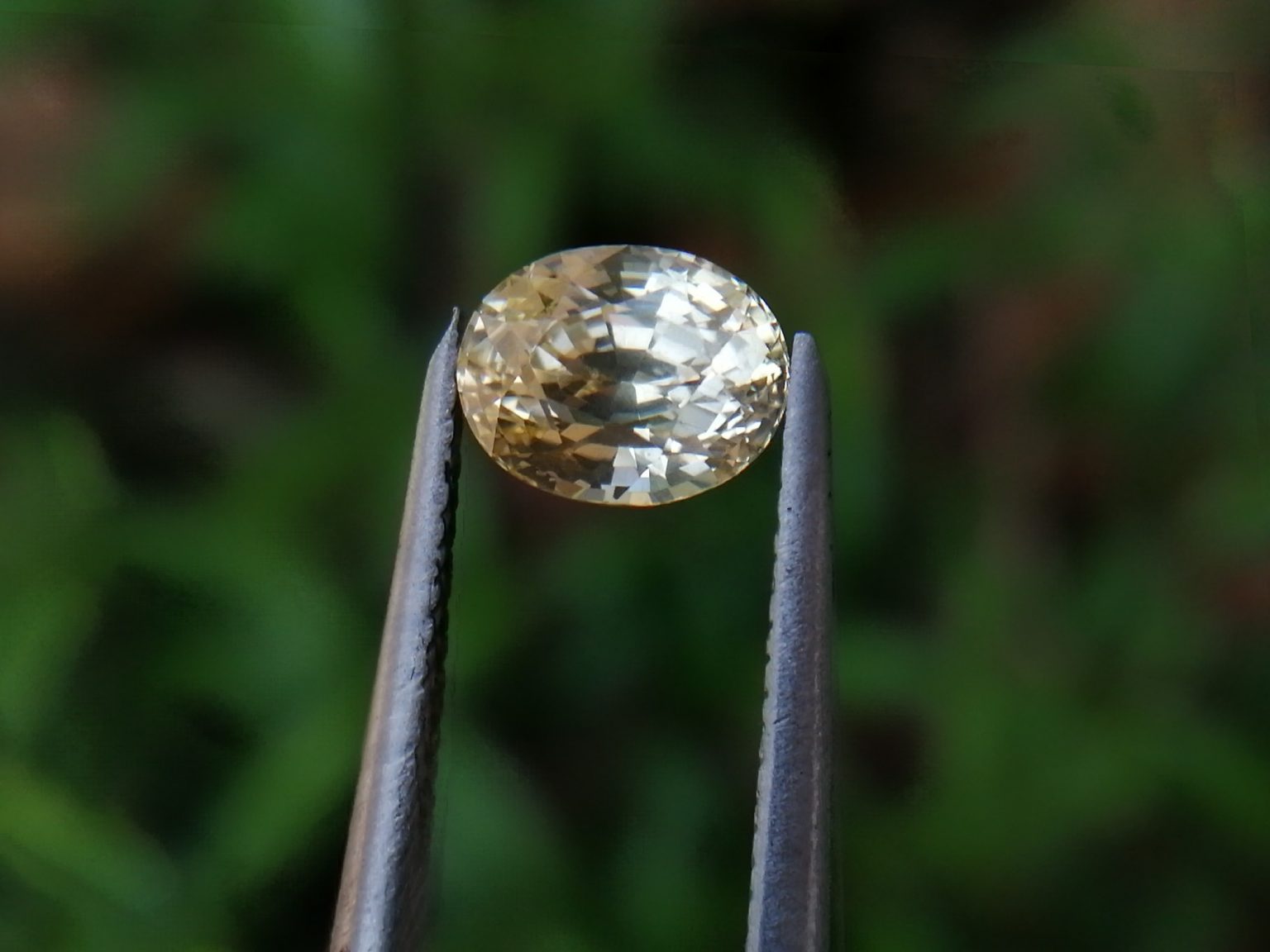 Ceylon Natural Yellow Sapphire - Sri Lanka