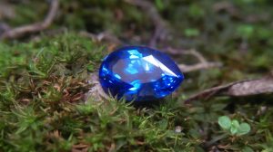 Ceylon Natural Vivid Royal Blue Sapphire