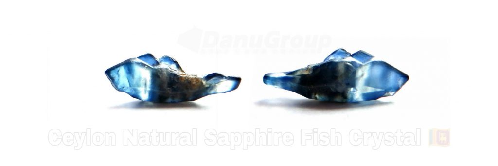 Ceylon Natural Sapphire Fish Crystal danu group image 03